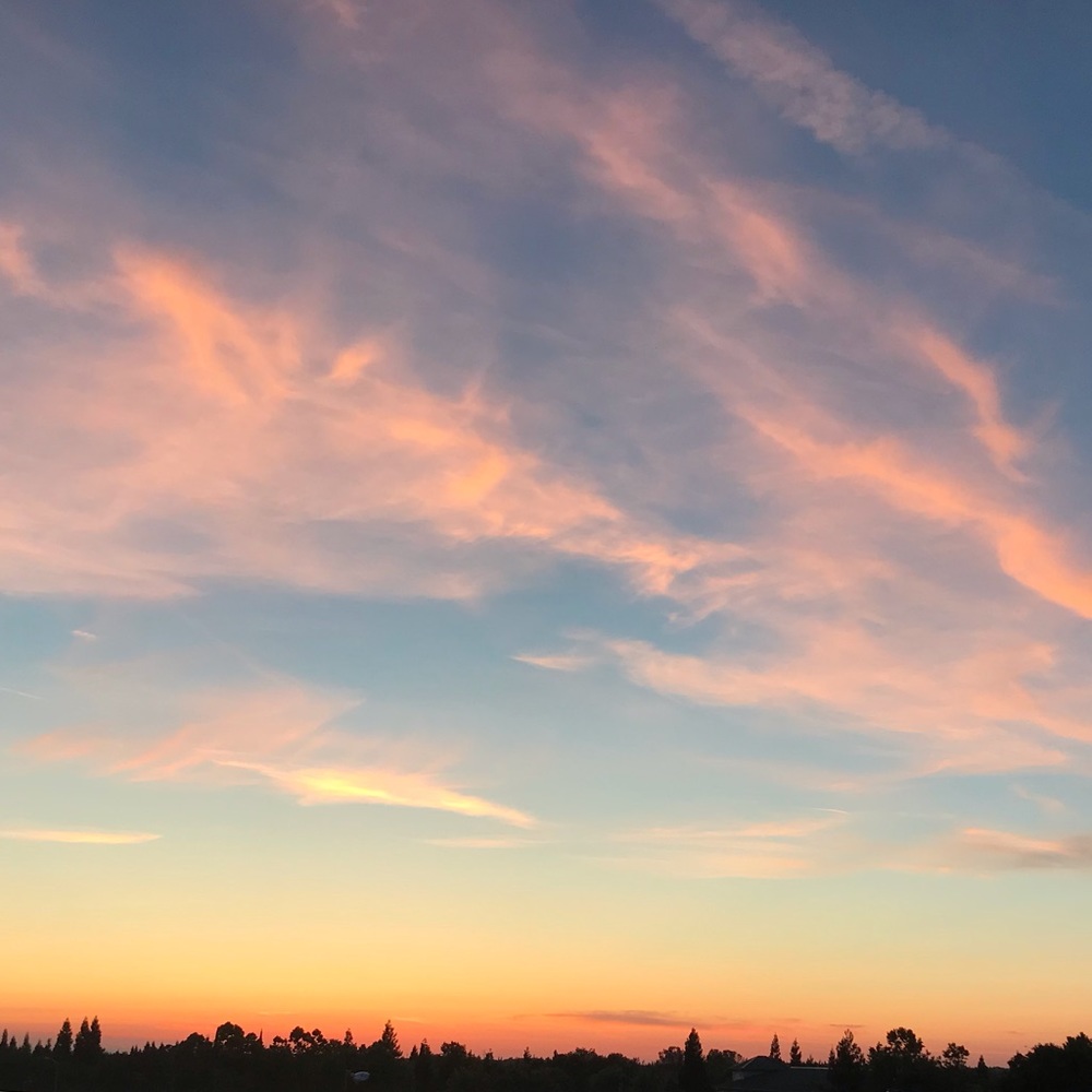 Meet your Posher, Sophia